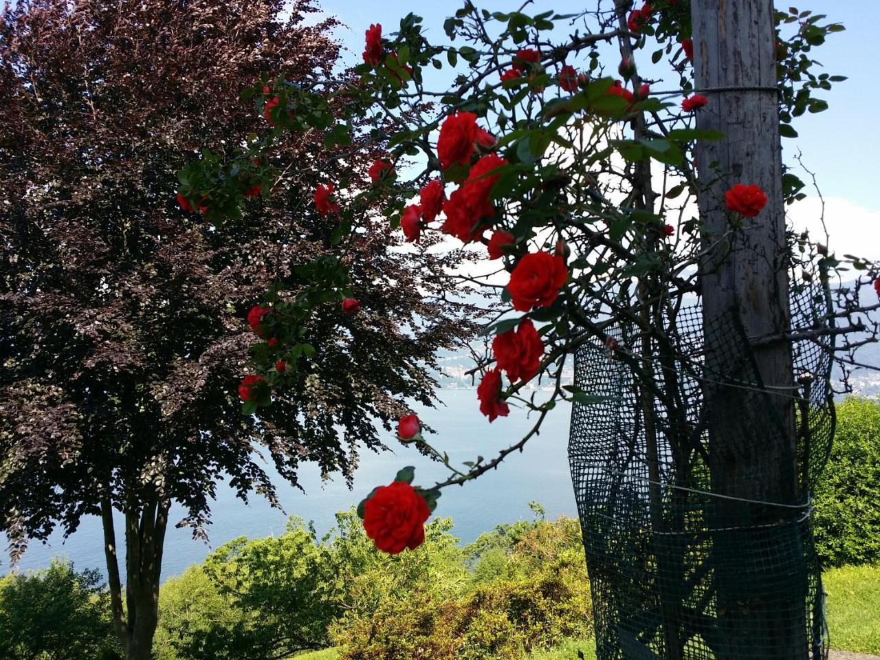 Locanda Pozzetto Laveno-Mombello Zewnętrze zdjęcie